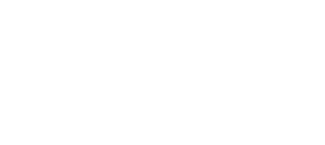 Google logo white